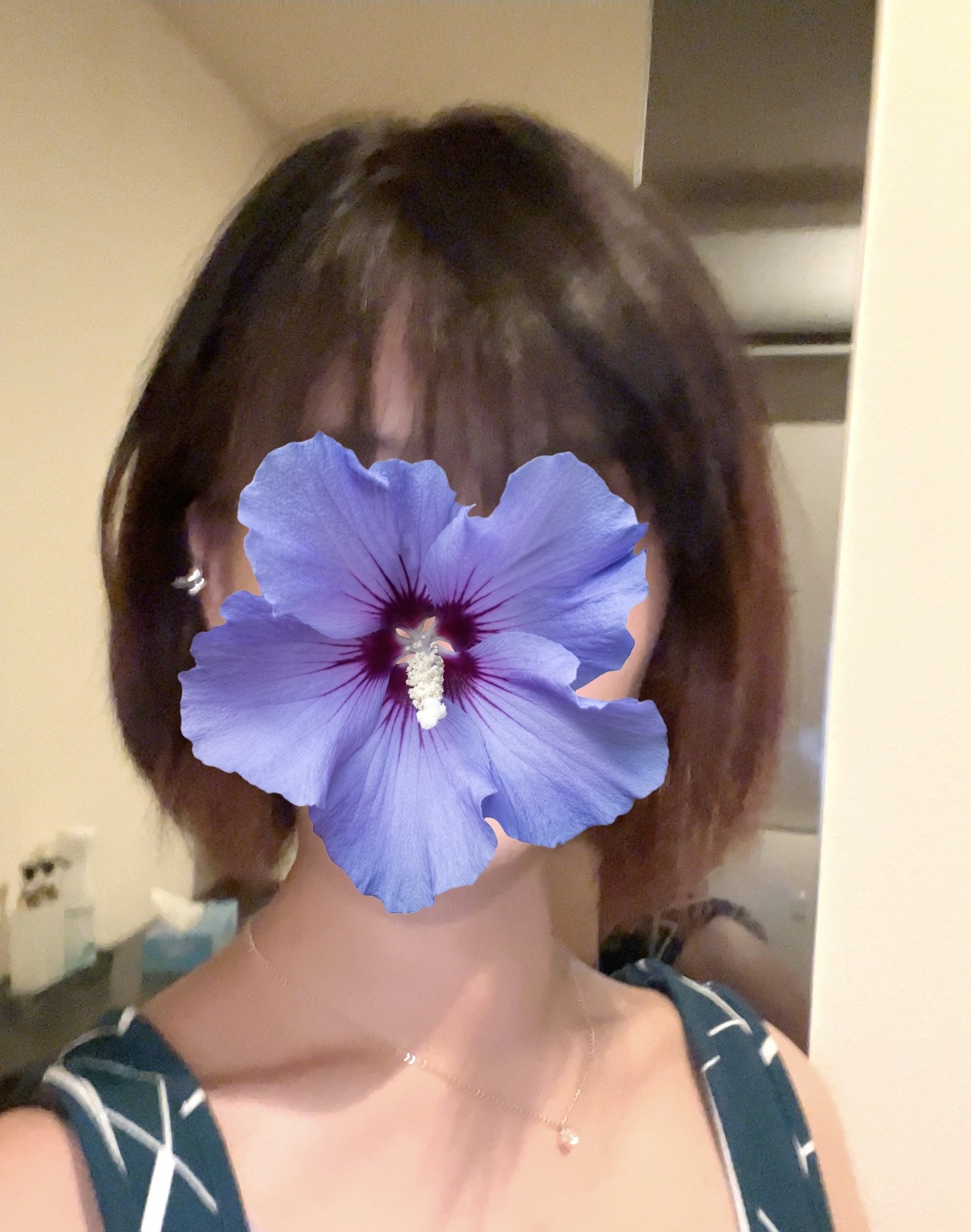こんにちわ