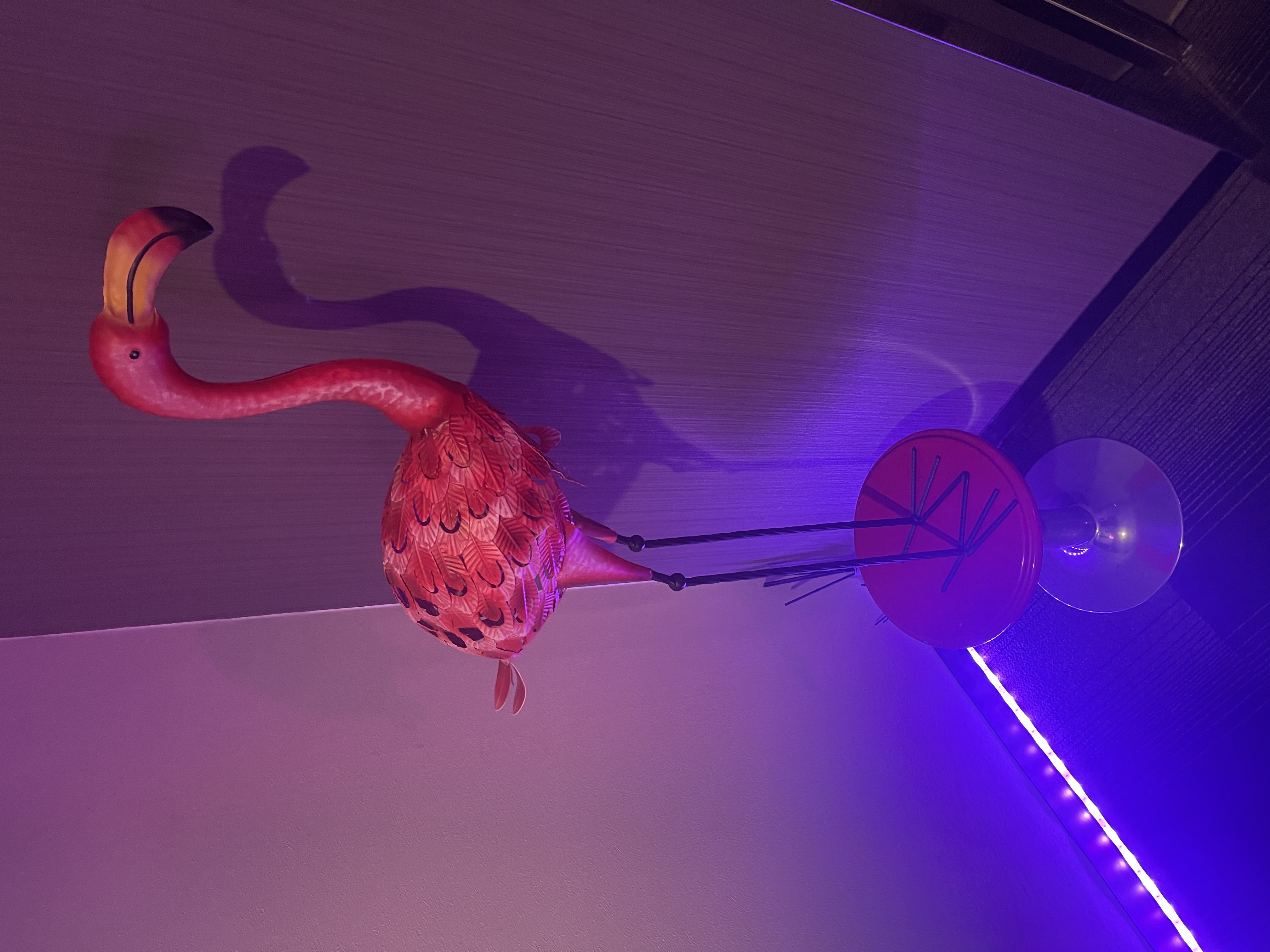 久しぶり出勤✨️