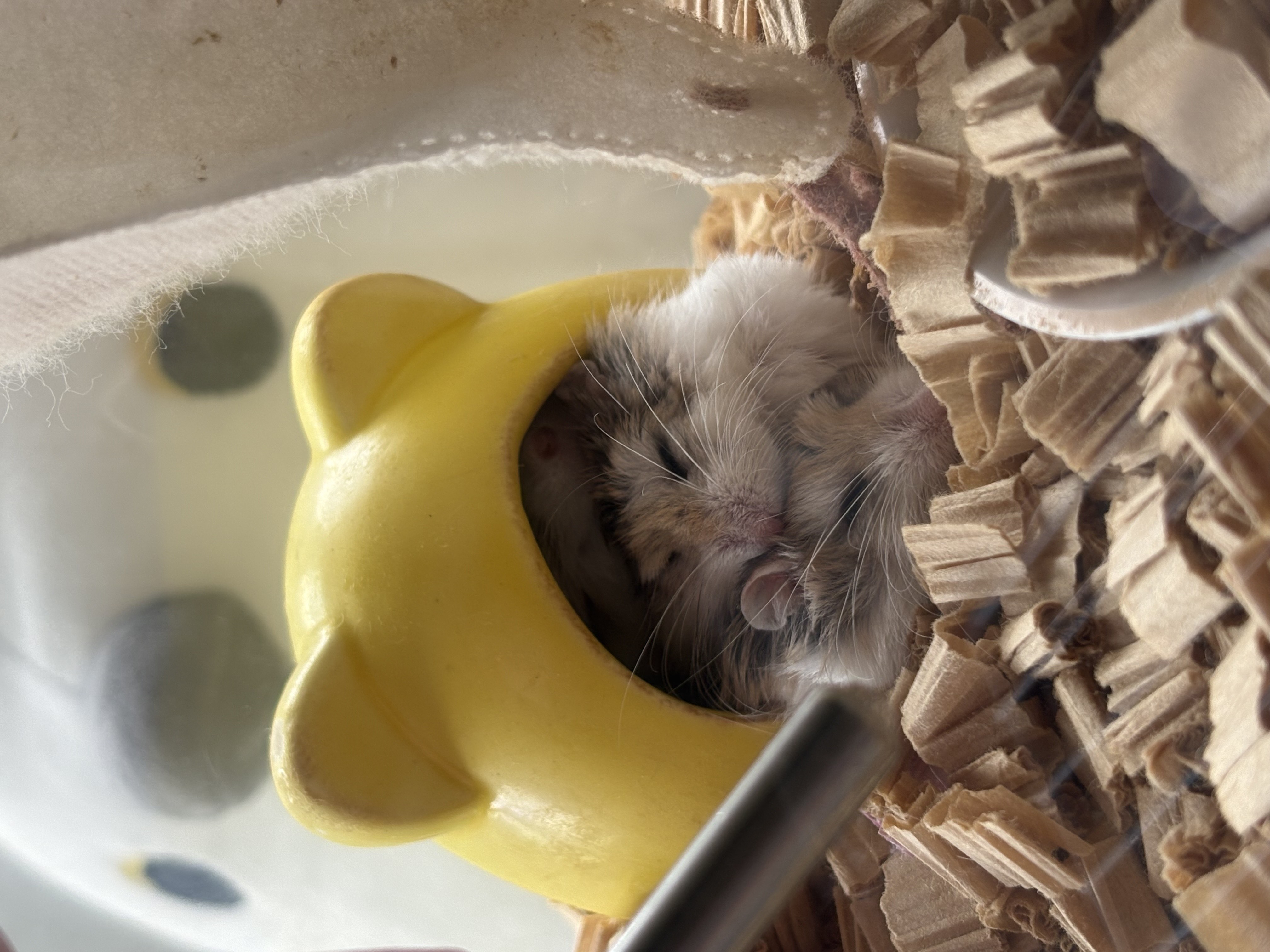 ごめんなさい💦